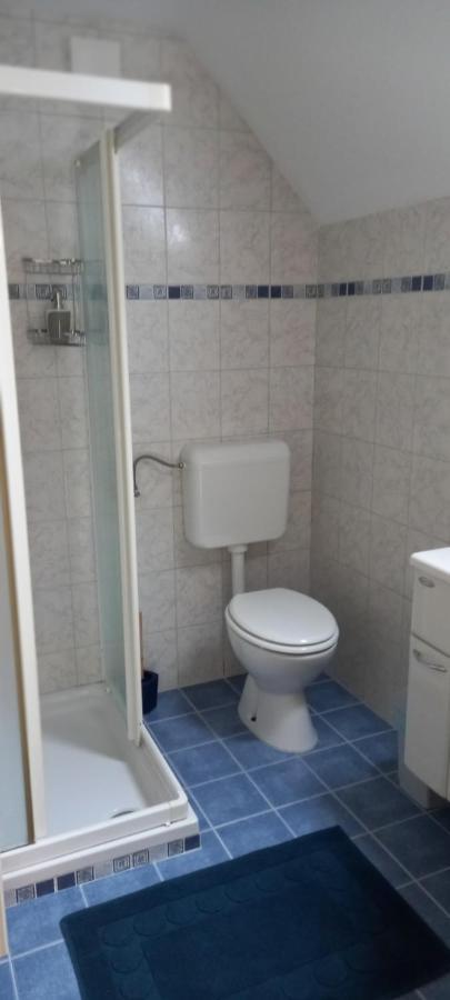 בוהין Apartma Metka מראה חיצוני תמונה