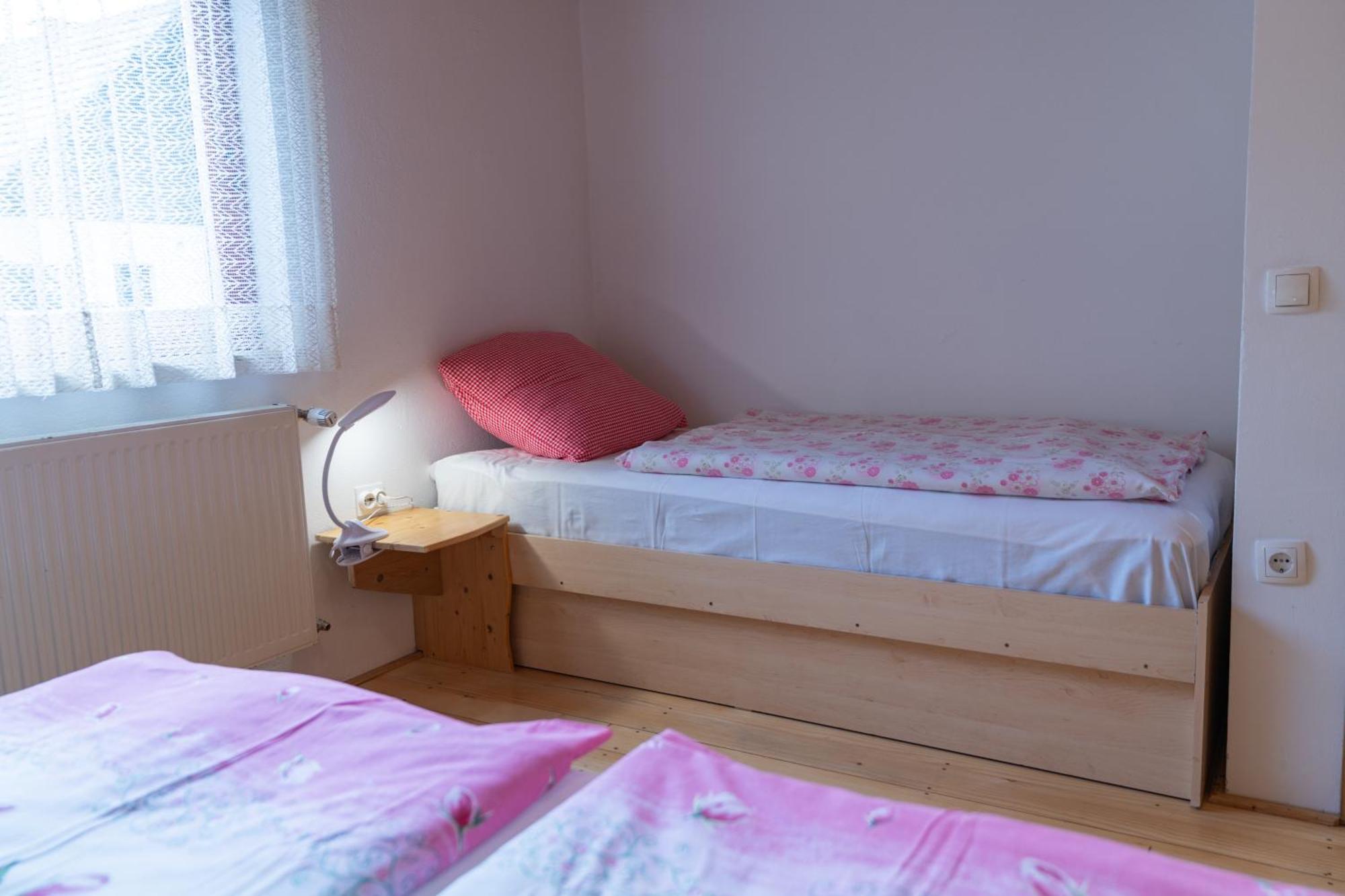 בוהין Apartma Metka מראה חיצוני תמונה